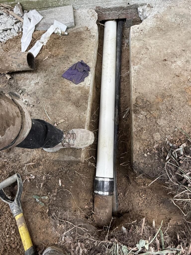 WhatsApp Image 2025-12-02 at 10.18