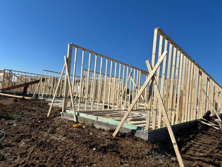 WhatsApp Image 2025-12-02 at 12.43